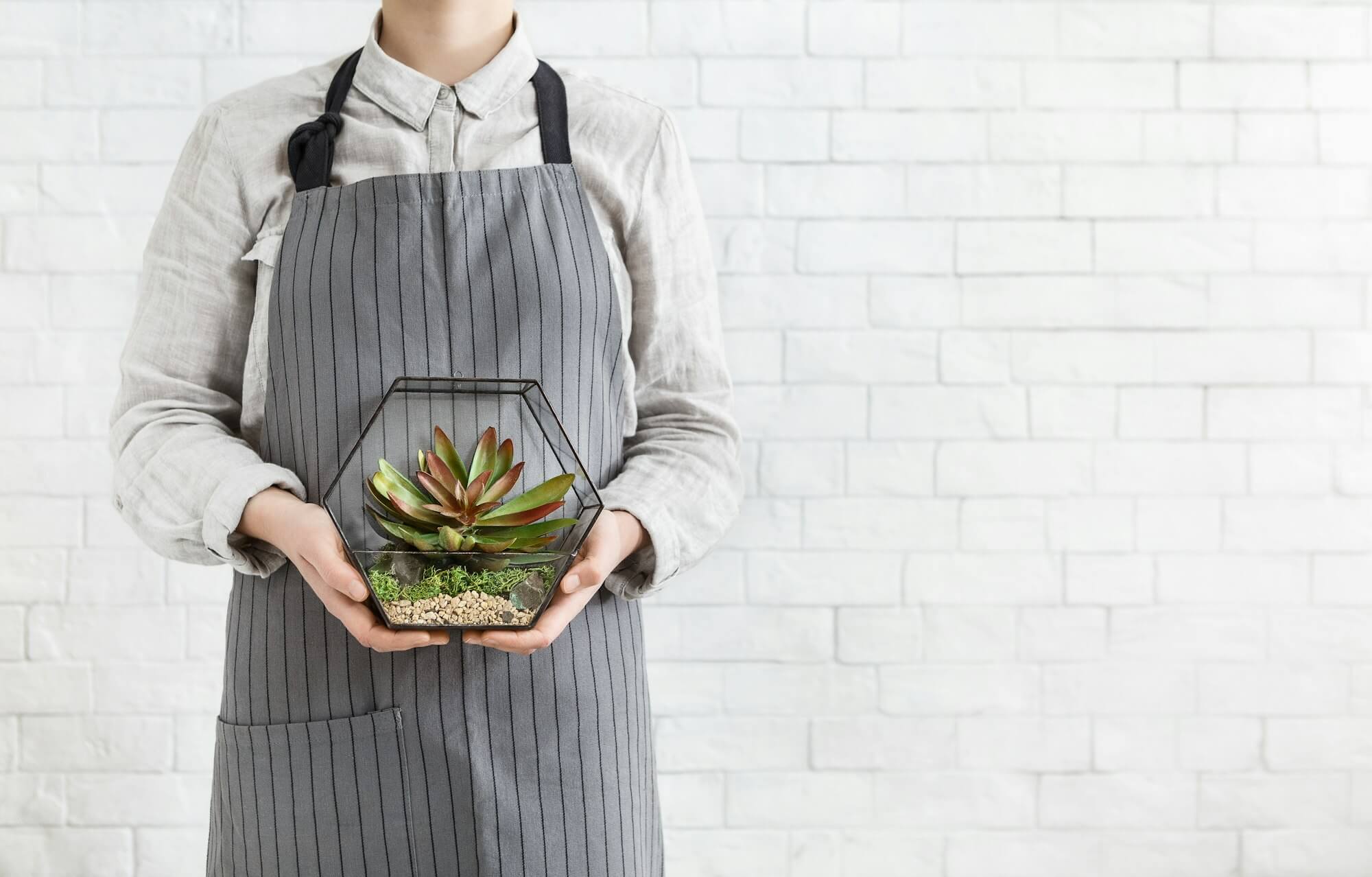 Gardening service concept